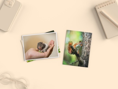 Transformez vos souvenirs numériques en trésors imprimés !